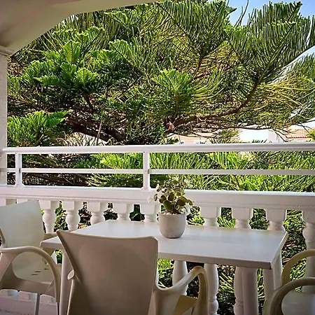 Alamis & Hotel 4*